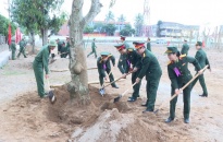 Bộ Chỉ huy Quân sự thành phố phát động “Tết trồng cây đời đời nhớ ơn Bác Hồ”