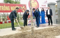 Huyện Kiến Thụy phát động Tết trồng cây Xuân Giáp Thìn 2024