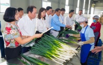 Tăng tốc xây dựng NTMKM, nhân rộng mô hình sản xuất nông nghiệp tại huyện An Dương, Tiên Lãng 