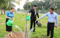 LĐLĐ huyện Vĩnh Bảo:  Tổ chức lễ chào cờ cho công nhân và phát động trồng cây xanh tại doanh nghiệp năm 2024 