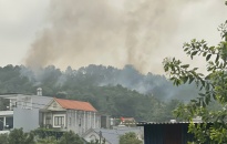 Khống chế đám cháy rừng tại núi Sơn Đào (Thủy Nguyên)