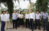Công ty CP Khu công nghiệp Sài Gòn - Hải Phòng: Đề nghị sớm hoàn thành thủ tục đầu tư Khu Công nghiệp Tràng Duệ 3