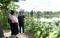 Phòng giao dịch NHCSXH hội huyện Tiên Lãng:  Duy trì và nâng cao chất lượng các chương trình tín dụng