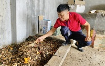 Nuôi sâu can-xi: Mô hình hiệu quả trong sản xuất nông nghiệp tại xã Minh Tân