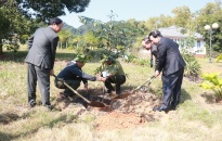 Hướng dẫn tuyên truyền thực hiện Chỉ thị 03 của Thủ tướng Chính phủ về trồng cây, trồng rừng, bảo vệ rừng