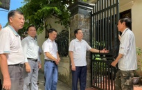 Kiểm tra giám sát công tác phòng chống bệnh Sốt xuất huyết Dengue tại quận Hải An