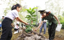 Đẩy mạnh các hoạt động hưởng ứng Ngày môi trường thế giới, Tháng hành động vì môi trường, Tuần lễ Biển và Hải đảo Việt Nam năm 2024