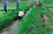 Phối hợp phòng ngừa việc dùng điện để bẫy, bắt, diệt chuột trong sản xuất trồng trọt