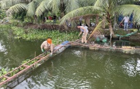 Công ty TNHH MTV Khai thác công trình thủy lợi Thủy Nguyên: Giải tỏa 13 lồng bè nuôi thủy sản trên sông Giá