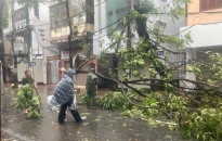 Công an quận Lê Chân:  Phối hợp hỗ trợ hơn 1500 hộ dân đến khu vực tránh trú bão an toàn