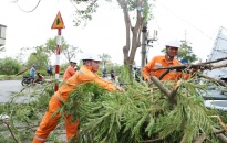 Điện lực Hải Phòng: Khắc phục nhanh các sự cố, cấp điện trở lại cho Nhân dân sau bão số 3