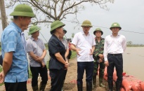 Phó Chủ tịch Thường trực UBND thành phố Lê Anh Quân kiểm tra hệ thống đê kè trên địa bàn huyện An Dương