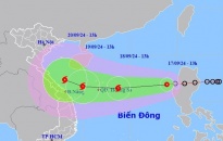 Chủ động ứng phó áp thấp nhiệt đới có khả năng mạnh lên thành bão