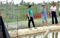 Ngân hàng Chính sách xã hội Chi nhánh Hải Phòng:  Tạm dừng thu lãi hộ vay bị thiệt hại do bão số 3