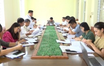 HĐND quận Kiến An giám sát về công tác quản lý thu thuế nhà thầu xây dựng tại phường Quán Trữ