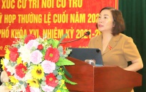 Trưởng Ban Tuyên giáo Thành ủy Đào Khánh Hà tiếp xúc cử tri nơi cư trú tại phường An Biên (quận Lê Chân)