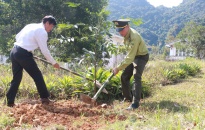 Quy định chi tiết thi hành một số điều của Luật Đất đai trên địa bàn Hải Phòng: Kỳ V: Điều kiện, trình tự, thủ tục thẩm định để giao đất không đấu giá quyền sử dụng đất cho cá nhân