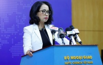 Sẵn sàng bảo hộ công dân Việt Nam vụ lật phà ở Hàn Quốc, động đất ở Trung Quốc