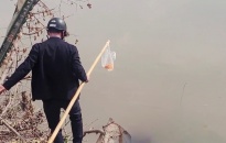 Muôn kiểu thả cá chép ngày cúng ông Táo