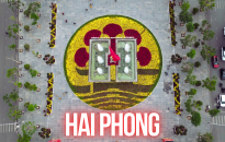 Hải Phòng rực rỡ sắc xuân