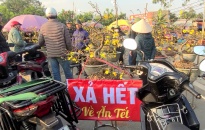 Cây cảnh đại hạ giá, chợ hoa dần thế chỗ
