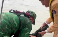 Phòng Cảnh sát giao thông kịp thời cứu cô gái trẻ nhảy cầu Bính