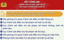 Hướng dẫn tố giác, báo tin về tội phạm, kiến nghị khởi tố từ ngày 01/3/2025