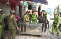 Quận Kiến An: Ra quân đảm bảo trật tự an toàn giao thông, trật tự đường hè, môi trường đô thị trên địa bàn