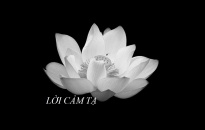  LỜI CẢM TẠ