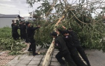 Chỉ thị phòng chống thiên tai, tìm kiếm cứu nạn năm 2025 trên địa bàn Hải Phòng