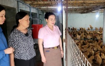 Phát huy vai trò của nguồn vốn ủy thác cho vay qua ngân hàng CSXH