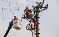 Điện lực Hải Phòng: Sẵn sàng cấp điện cho mùa nắng nóng