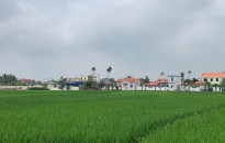 Huyện Kiến Thụy nỗ lực xây dựng lối sống xanh, xanh hóa nền kinh tế nông nghiệp
