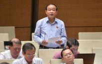 Đại biểu Quốc hội Hải Phòng đóng góp nhiều ý kiến vào các dự án Luật
