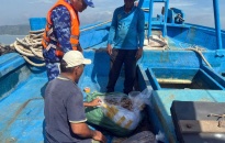 BTL Vùng Cảnh sát biển 1 bắt giữ tàu vận chuyển thực phẩm không rõ nguồn gốc