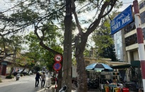 Điều chỉnh tổ chức giao thông trên đường Thất Khê, quận Hồng Bàng