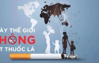 Tuần lễ Quốc gia không thuốc lá sẽ diễn ra từ ngày 25 đến 31/5/2025