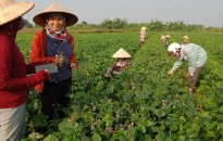 Công bố Danh mục chuẩn hóa TTHC lĩnh vực KHCN, nông nghiệp