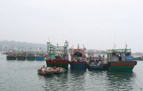 Hải Phòng siết chặt công tác chống khai thác hải sản IUU