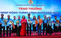 Liên đoàn Lao động thành phố phát triển hơn 15 nghìn đoàn viên trong Tháng Công nhân năm 2025