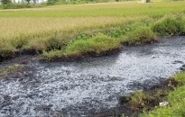 Tập trung xử lý 3 vị trí mương có chất thải độc hại gây bỏng cho người dân xã Hưng Nhân, huyện Vĩnh Bảo