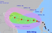 Kết luận của Chủ tịch Ủy ban nhân dân thành phố về công tác ứng phó cơn bão số 3