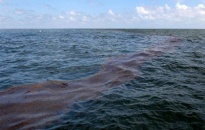 Quảng Ninh: Nhanh chóng khắc phục sự cố tràn dầu trên biển