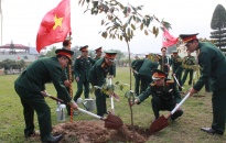 Bộ Chỉ huy Quân sự thành phố phát động tết trồng cây - Xuân Kỷ Hợi 2019