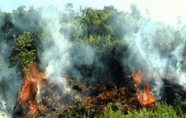 Quận Kiến An diễn tập phòng cháy chữa cháy rừng