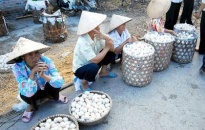 Khả năng trứng có nguồn gốc ở Việt Nam nhiễm melamine là rất ít