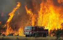 Bắt nghi phạm đốt rừng ở Australia