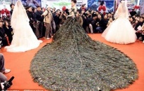 Váy cưới giá 1, 5 triệu USD
