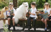 Chó giúp trẻ đọc sách tốt