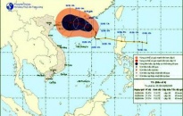 Các tỉnh phía Bắc khẩn trương ứng phó với bão số 6